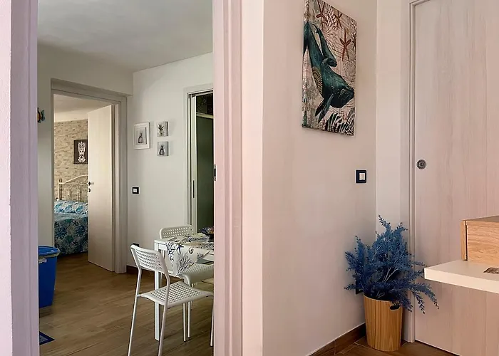 Apartman Domus Caricatore